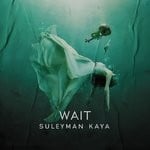 cover: Suleyman Kaya - Wait (Original Mix)