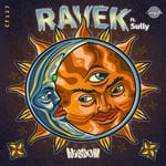 cover: Ravek|Sully - Wisdom (feat. Sully)