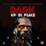 cover: Ninja Man - Dark Up Di Place