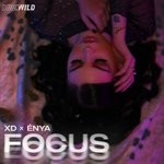 cover: Enya|Xd - Focus