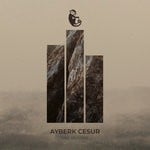 cover: Ayberk Cesur - Take Me Home