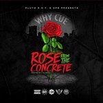 cover: Why Cue - Rose From The Concrete (Explicit)