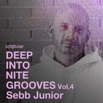 cover: SEBB JUNIOR|Various - Deep Into Nite Grooves Vol 4