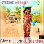 cover: Steevie Milliner - Give Me Just A Little Time