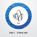 cover: Aney F. - 3 Hours Later (Original Mix)