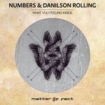 cover: Numbers|Danilson Rolling - What You Feeling Inside