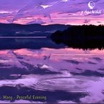 cover: Wang - Peaceful Evening (Original Mix)