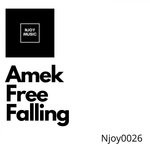 cover: Amek - Free Falling