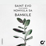 cover: Nomvula Sa - Bamkile