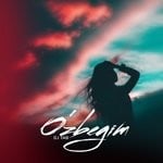 cover: Dj Tab - O'Zbegim