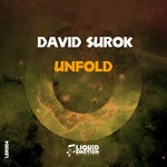 cover: David Surok - Unfold