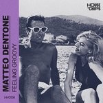 cover: Matteo Dentone - Feeling Groovy