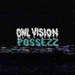 cover: Owl Vision - Possezz