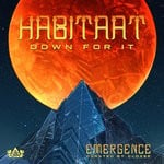 cover: Habitaat - Down For It