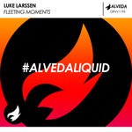 cover: Luke Larssen - Fleeting Moments (Original Mix)