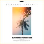 cover: Various - Summer Never Ends 03