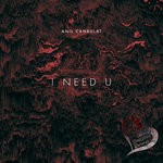 cover: Anil Canbulat - I Need U