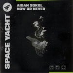 cover: Aidan Sokol - Now Or Never