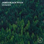 cover: James Black Pitch - Wonder