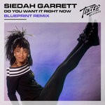 cover: Siedah Garrett - Do You Want It Right Now (BluePrint Extended Mix)