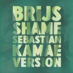 cover: Brijs - Shame (Sebastian Kamae Version)