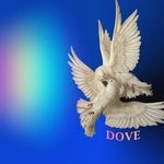 cover: Josias Mb - Dove (Instrumental)