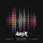 cover: Amir - All I Ever Need (Remix)