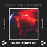 cover: Dan T|Ollie Weeks - Jump Right In (Original Mix)