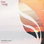 cover: Harmonic Rush - Sad But True