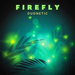 cover: Dudnetic - Firefly