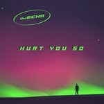 cover: Dj Echo - Hurt You So