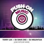 cover: DJ DAVE DEE|DJ Milentija|TERRY LEX - Junk Into My Mind (Extended Mix)