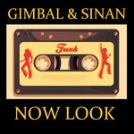 cover: Gimbal & Sinan - Now Look