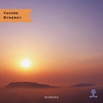 cover: Yavore - Synergy