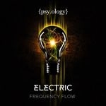 cover: Frequency Flow - Electric