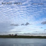 cover: Ruimte Vogel - Within Without