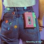 cover: Dpky - Grooving All Night