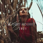 cover: Various - Deep House 2021