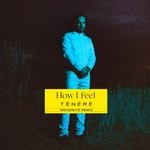 cover: Tenere - How I Feel (Monomite Remix)