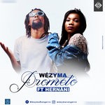 cover: Hernani Da Silva|Wezyma - Prometo