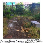 cover: Cass Lamb|Onism - Binary Sunset