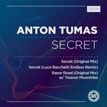 cover: Anton Tumas - Secret