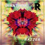 cover: Razzer - Dianthus (Original Mix)