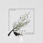 cover: Pineland - Ipse Intuitum