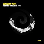 cover: Obsidian Wave - No One's Watching You