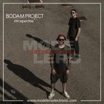 cover: Bodam Project - Introspective