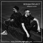 cover: Bodam Project - Different Souls