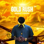 cover: Brisko Lyrical - Gold Rush