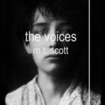 cover: M.t. Scott - The Voices