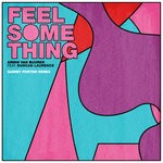 cover: Duncan Lawrence - Feel Something